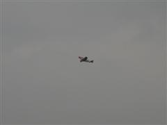 PICT2188.JPG
